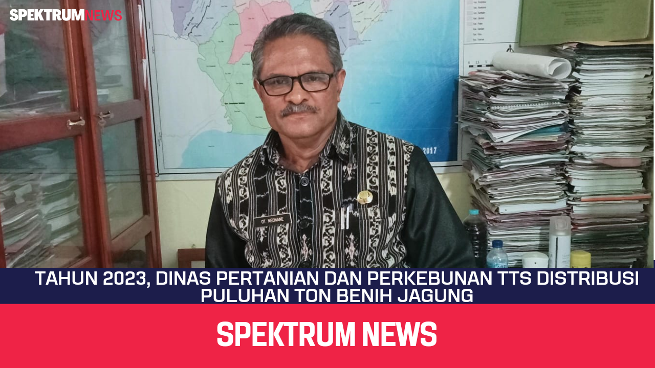 Tahun 2023, Dinas Pertanian dan Perkebunan TTS Distribusi Puluhan Ton Benih Jagung