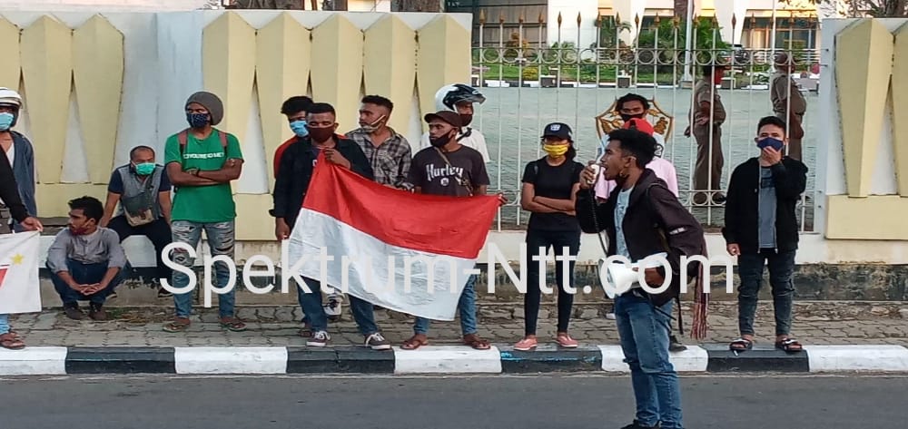 Perjuangan Masih Berjalan, ALiansi Front Pejuang Rakyat  Kecam Tindakan Intimidasi di Besipae