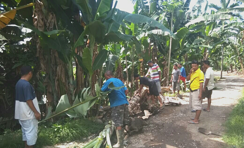 Warga Pu'u Sambi Ende  Gotong Royong Bangun Tembok Penahan Tanah (TPT)