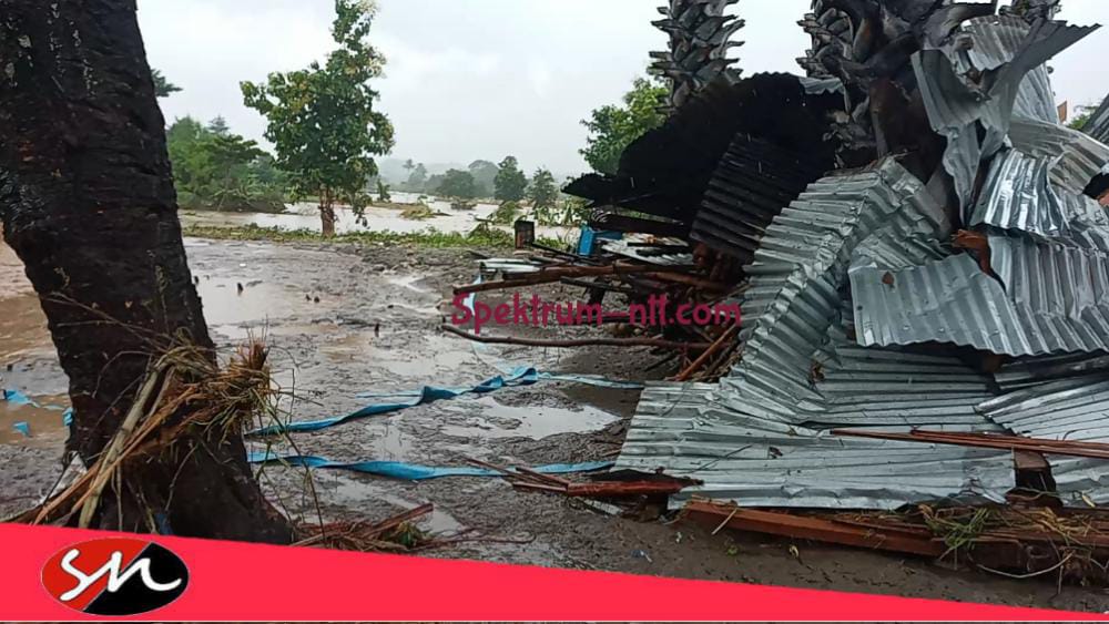Rumah Warga Motamaro Bersih Diseret Arus Banjir 