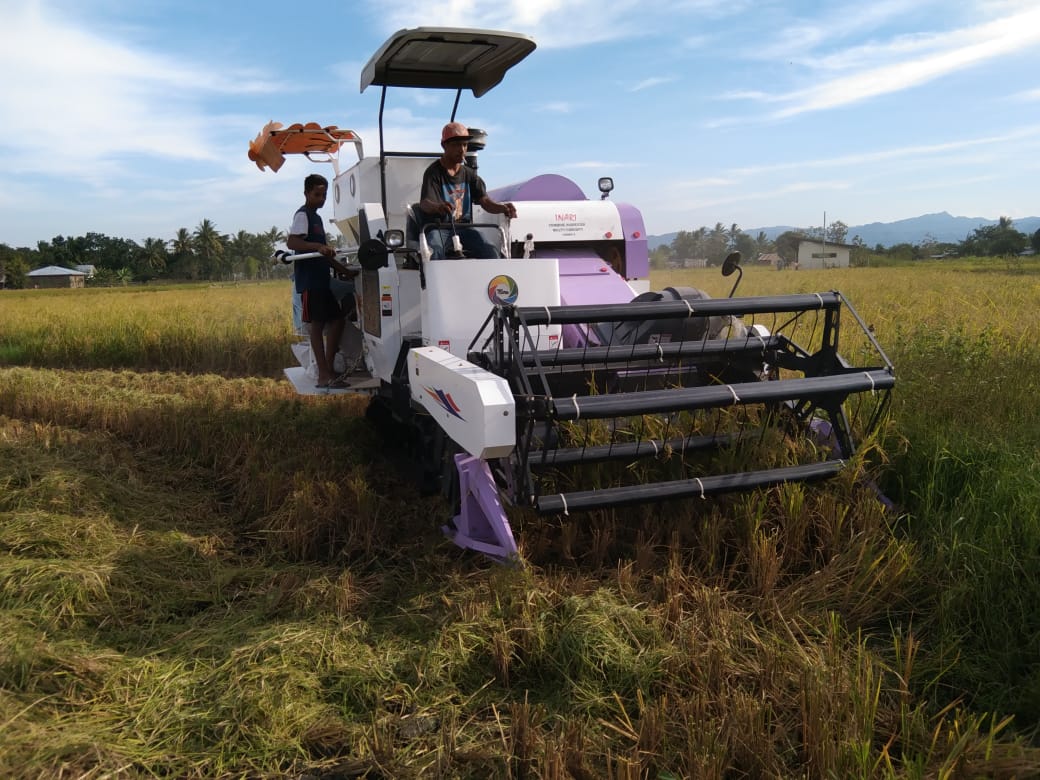Pemda Belu Menguji Coba Mesin Harvester di Lahan Kelompok Tani