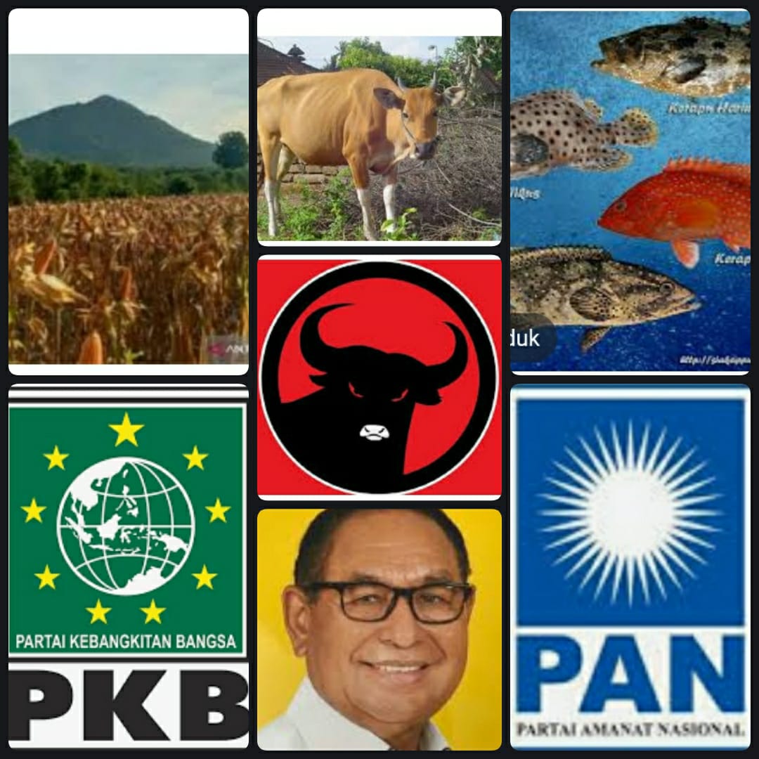 Disorot 3 Fraksi DPRD NTT, Wagub Nai Soi Enggan Jelaskan Gagalnya Budidaya Ikan Kerapu dan TJPS 