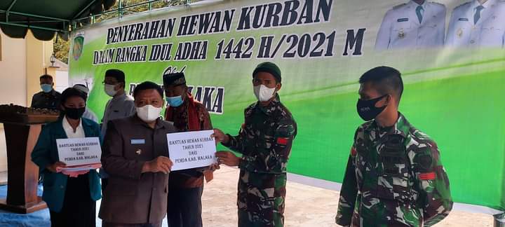 Memperkokoh Toleransi Antar Umat, Bupati Malaka Serahkan Hewan Kurban Bagi Umat Muslim