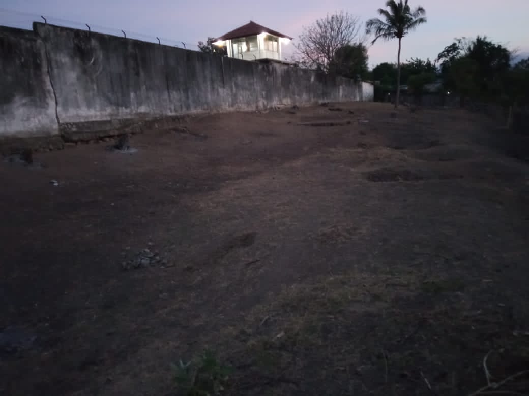 Rutan Kelas II B Maumere Manfaatkan Lahan Tidur Seluas 1 Hektar Untuk Perkebunan 