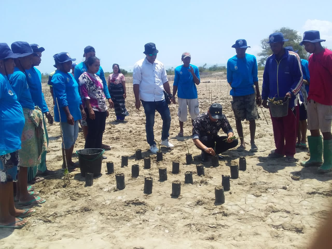 Wabup Malaka Dukung Program Kemendes PDTT Untuk Reboisasi Mangrove di Malaka 