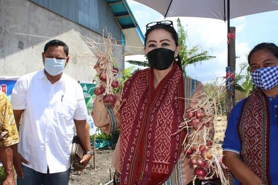 Julie Sutrisno Laiskodat:  SOAL PANGAN NTT JANGAN DIRAGUKAN