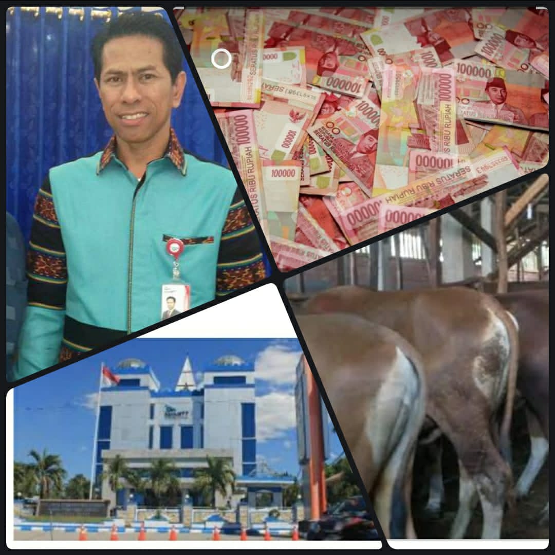 Mantan Direktur Pemasaran Kredit Bank NTT Bertanggungjawab Atas Pencairan Kredit Fiktif Rp. 130 M