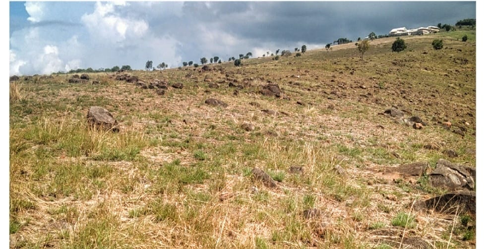 Penerbitan 4 Sertifikat Tanah di Area HPL Tanpa Diketahui Disnakertrans Sikka
