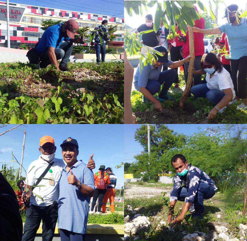 Walikota Jefirstson Gandeng Wartawan Tanam Pohon di Alun-alun Kota Kupang 