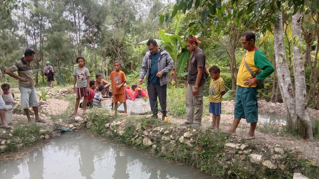 ADPRD TTS Ruba Banunaek Bantu Benih Ikan Lele Bagi Warga Desa Bineno