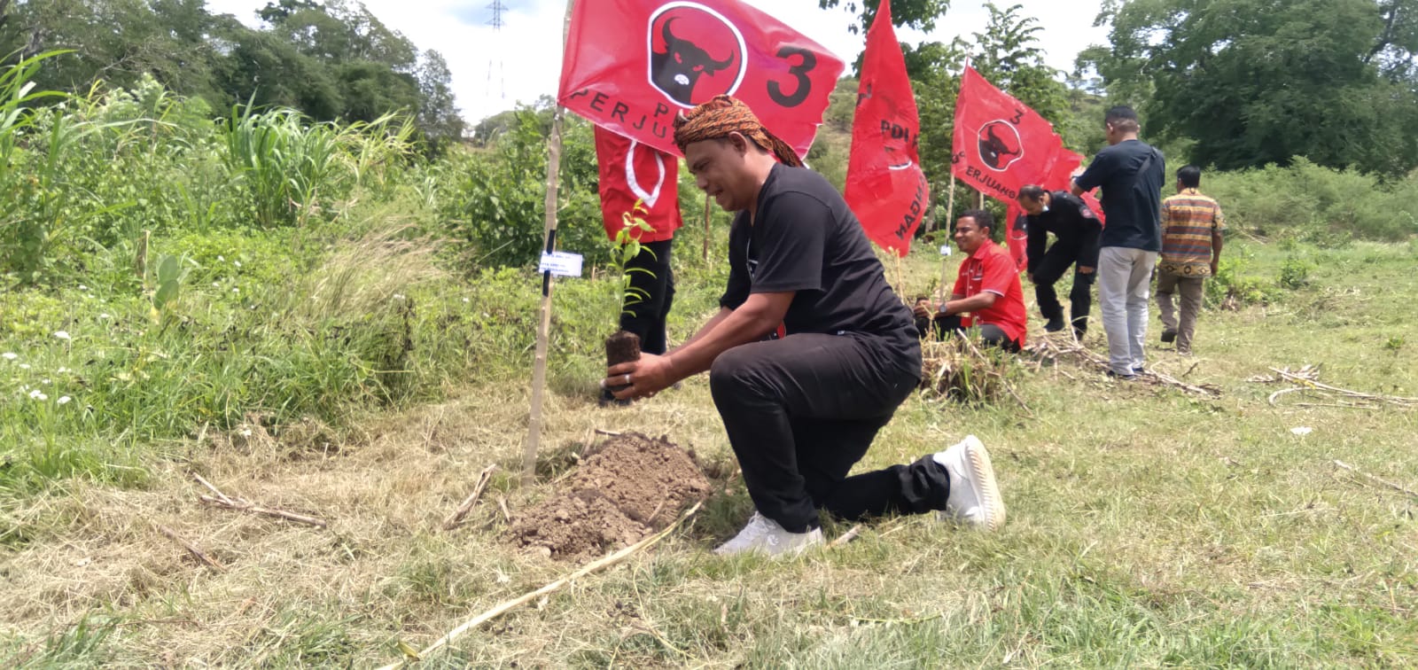 DPC PDI-P TTS Rayakan HUT Partai Dan Megawati Dengan Gerakan Tanam Pohon