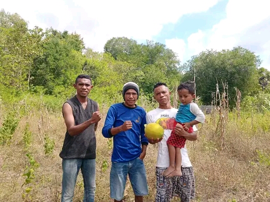 Pengurus Inti Buruh Kefamenanu, Tinjau Lokasi Hortikultura di Desa Oabikase, Insana Barat 
