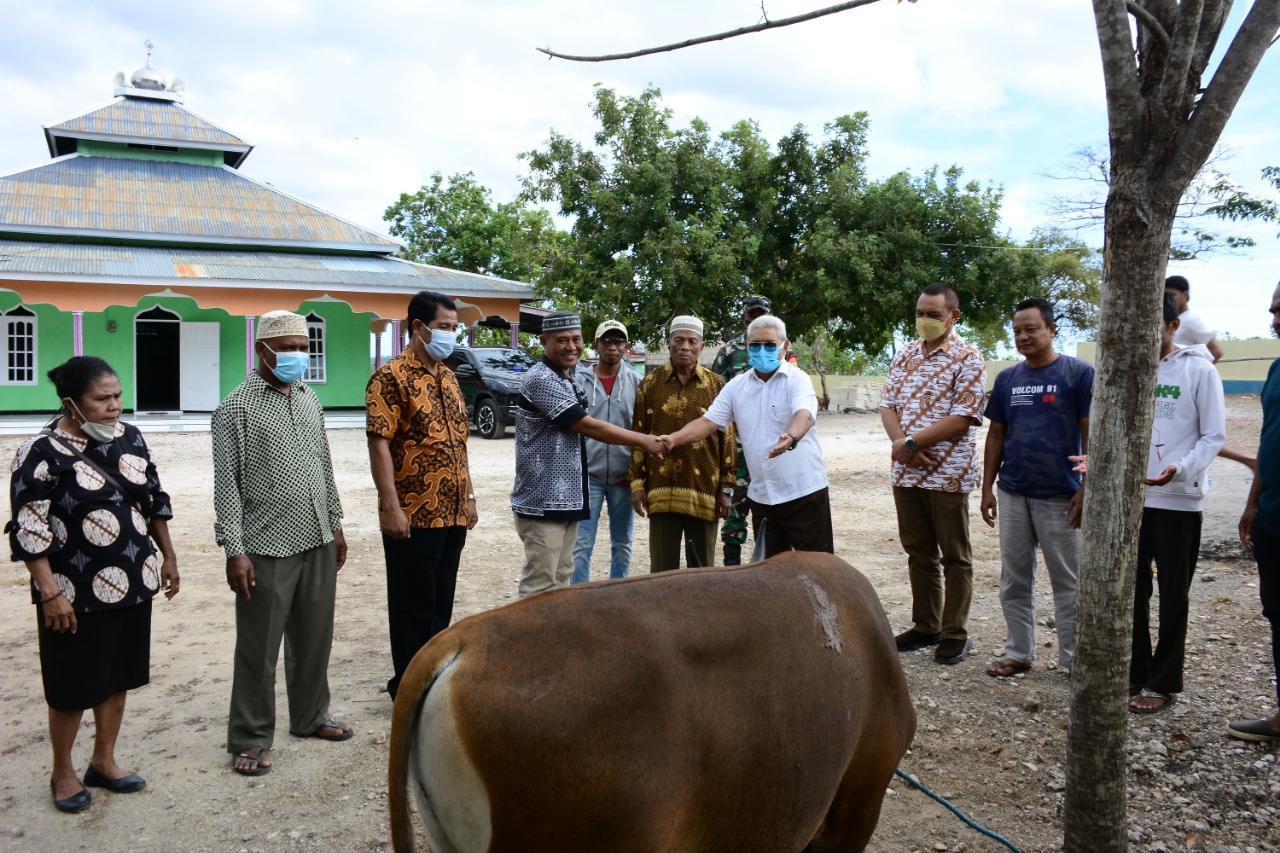 Hari Raya Idul Adha, 16 Masjid di Kota Kupang Mendapat Hewan Kurban Dari Pemkot 