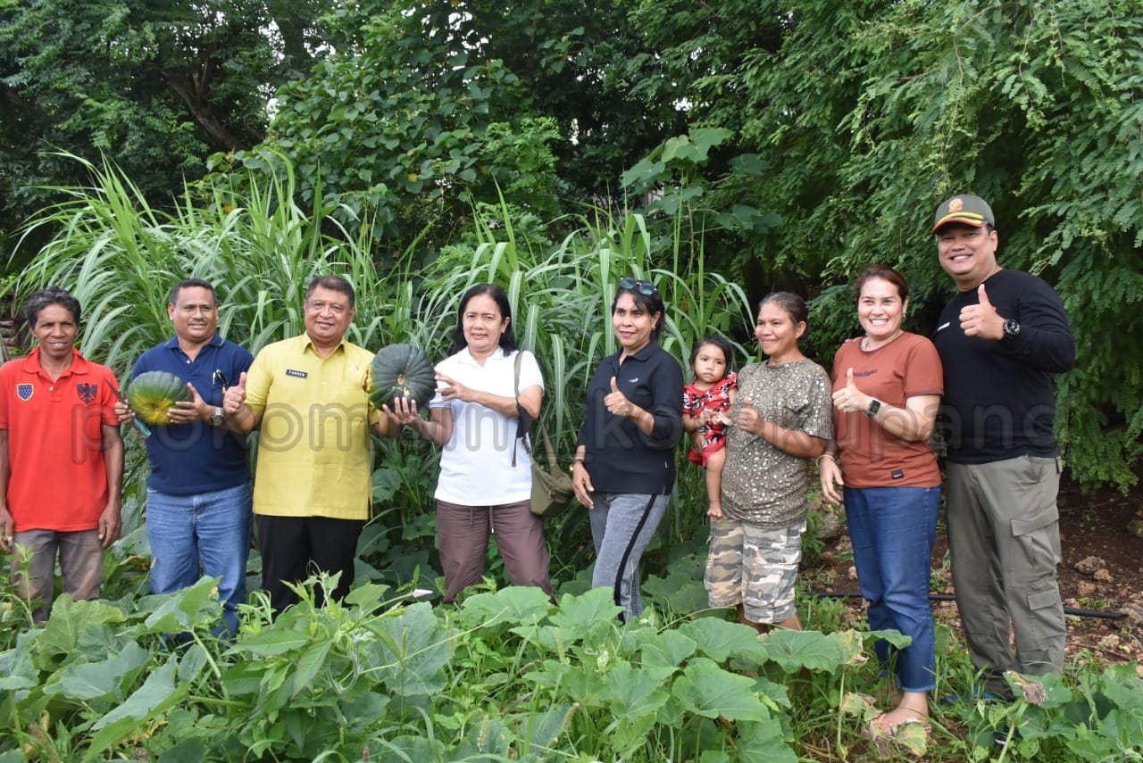 SEKDA TINJAU LOKASI URBAN FARMING DI NAIONI