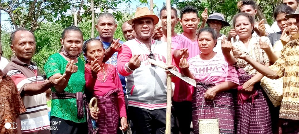 Pengusaha Ternak Minta PJ Bupati Flotim Terbitkan SK Tentang Virus ASF Babi