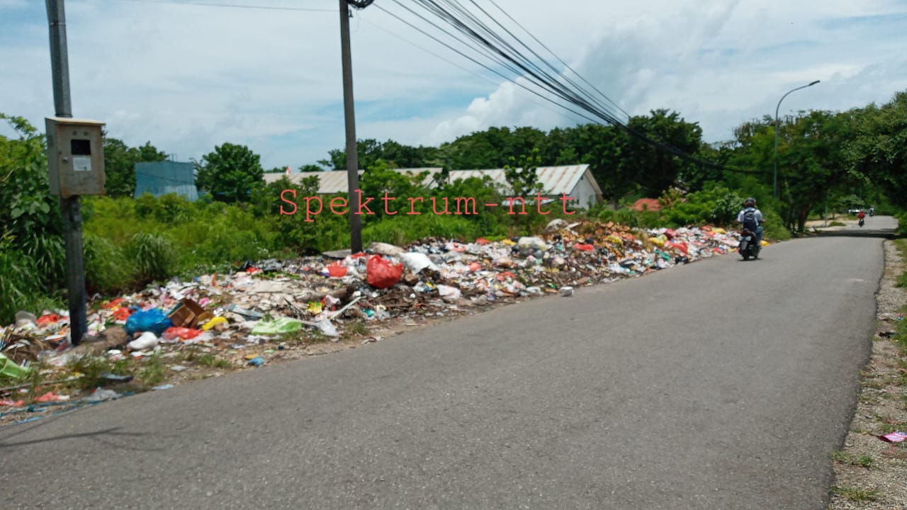 Sampah Menumpuk di Samping SMPN 20 Kota Kupang, Tanpa Kontainer dan Berbau Busuk 