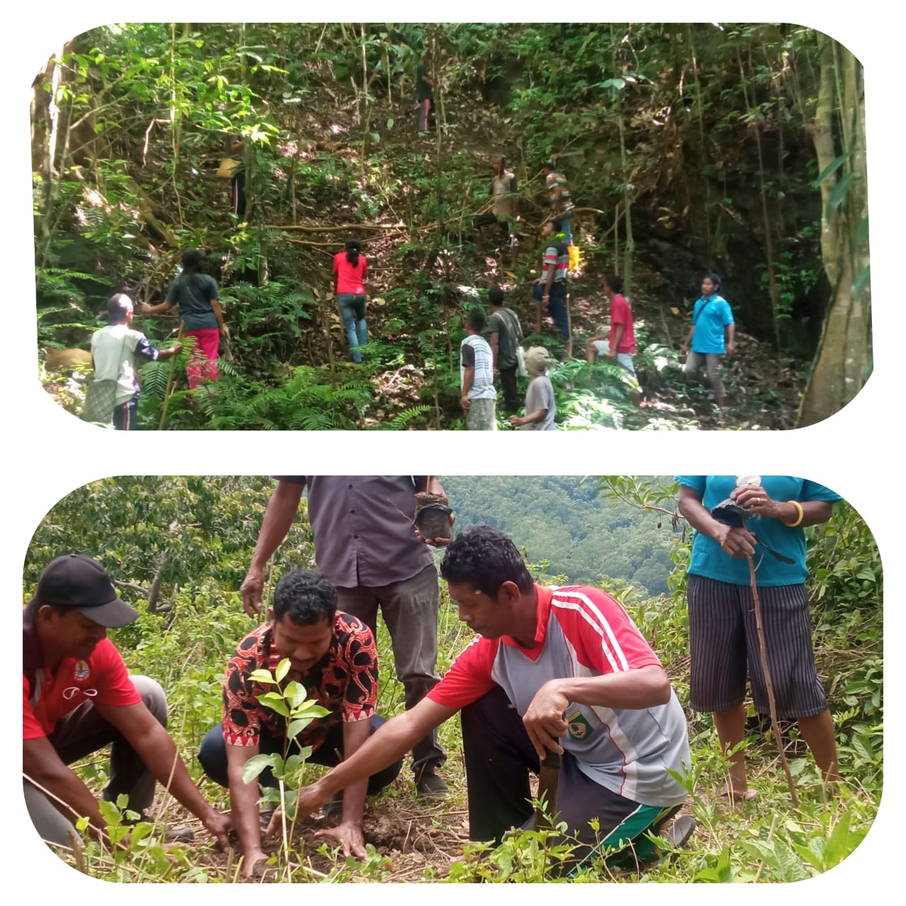 Tindak Lanjut Surat KemenDes, Kades Gera Kerahkan Warga Tanam Pohon