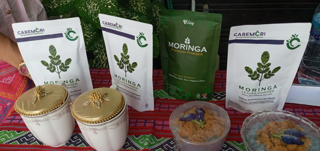 Kelor NTT Dijadikan Bahan Penanganan Stunting di Indonesia 