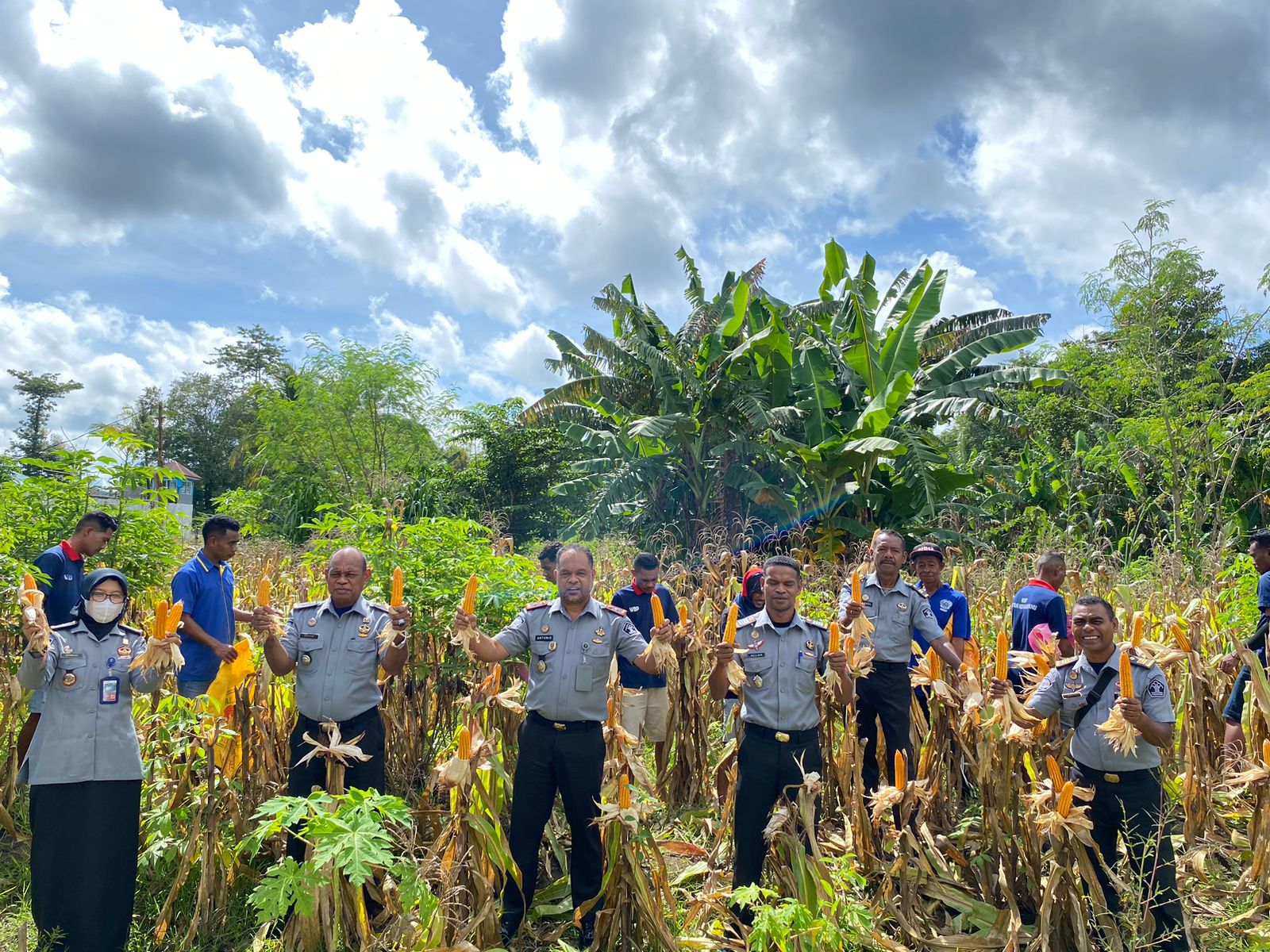 Saat Panen Jagung Perdana Milik WBP, Karutan Kefa Katakan Ini Bukti Keberhasilan Pembinaan