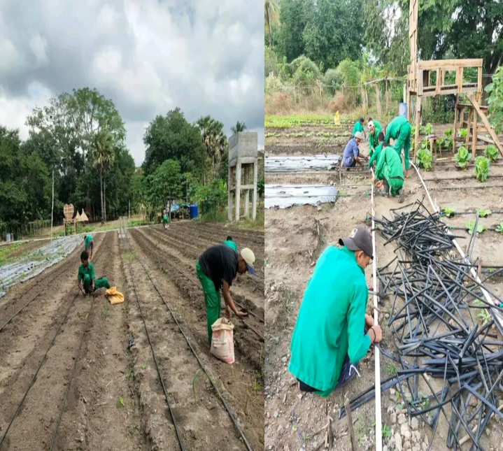 Siswa Jurusan ATPH SMKN Bisel Gelar PKL di Taman Hortikultura Desa Fafinesu