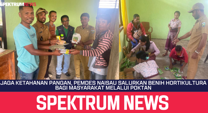 Jaga Ketahanan Pangan, Pemdes Naisau Salurkan Benih Hortikultura Bagi Masyarakat Melalui Poktan