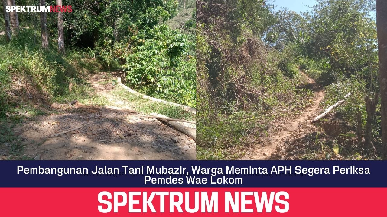 Pembangunan Jalan Tani Mubazir, Warga Meminta APH Segera Periksa Pemdes Wae Lokom
