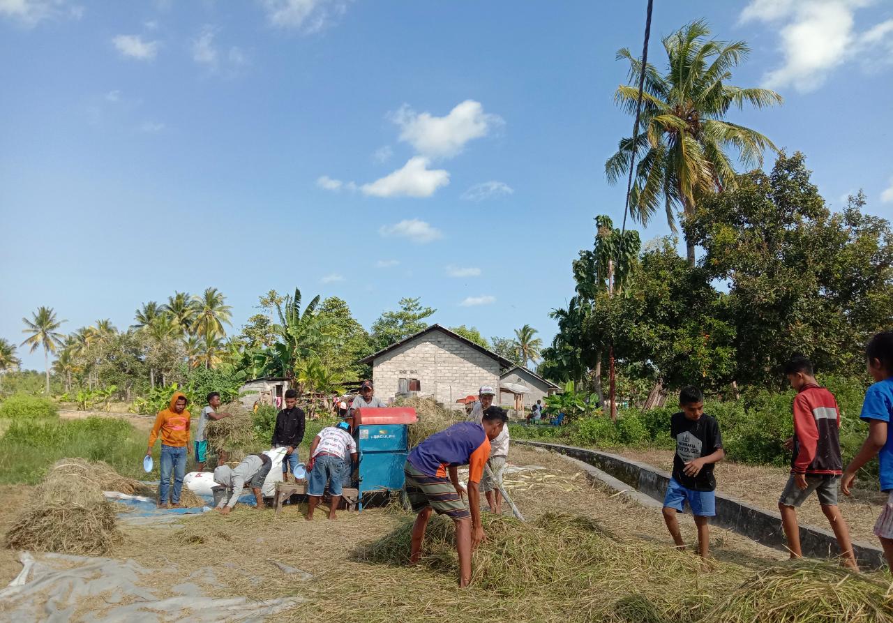 Petani Malaka Sebut Bertani Cara Cepat Lupa Corona