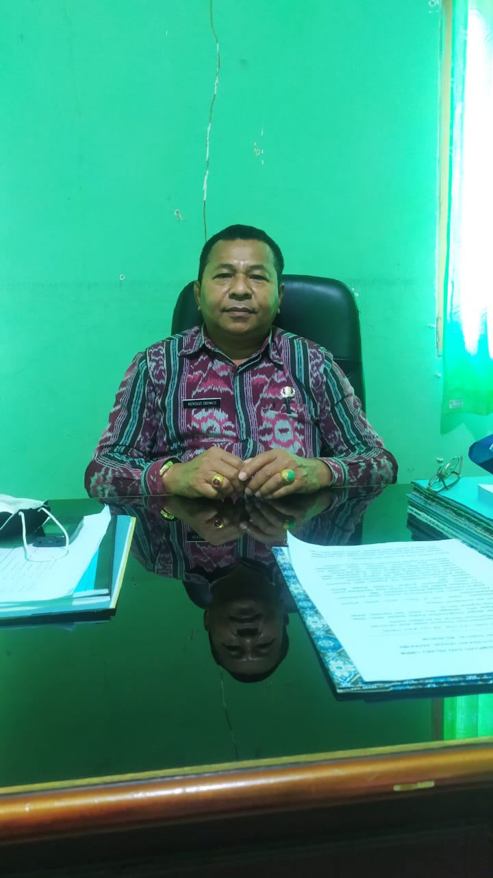 Sebanyak 40 UMKM di Sikka Akan Mengikuti Kegiatan Webinar