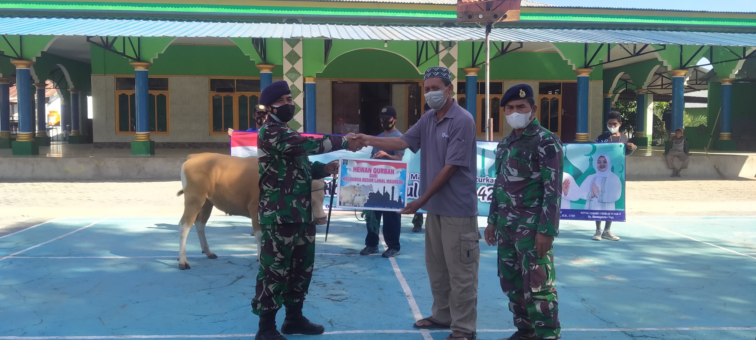 Komandan Pangkalan TNI-AL Maumere Serahkan Hewan Kurban Untuk Masyarakat Maritim Desa Nangahure