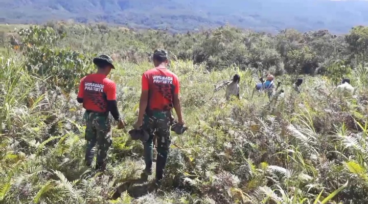Satgas Pamtas TNI Yonmek 403/WP Bersama Masyarakat Tanam Pohon Pinus di Wilayah Perbatasan RI-PNG