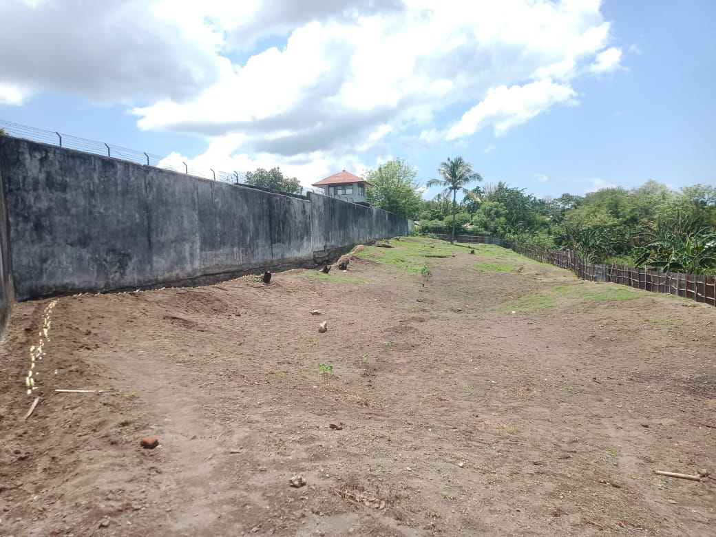 Sambut Musim Hujan, Rutan Kelas II B Maumere Fokus Tanam Kacang Hijau