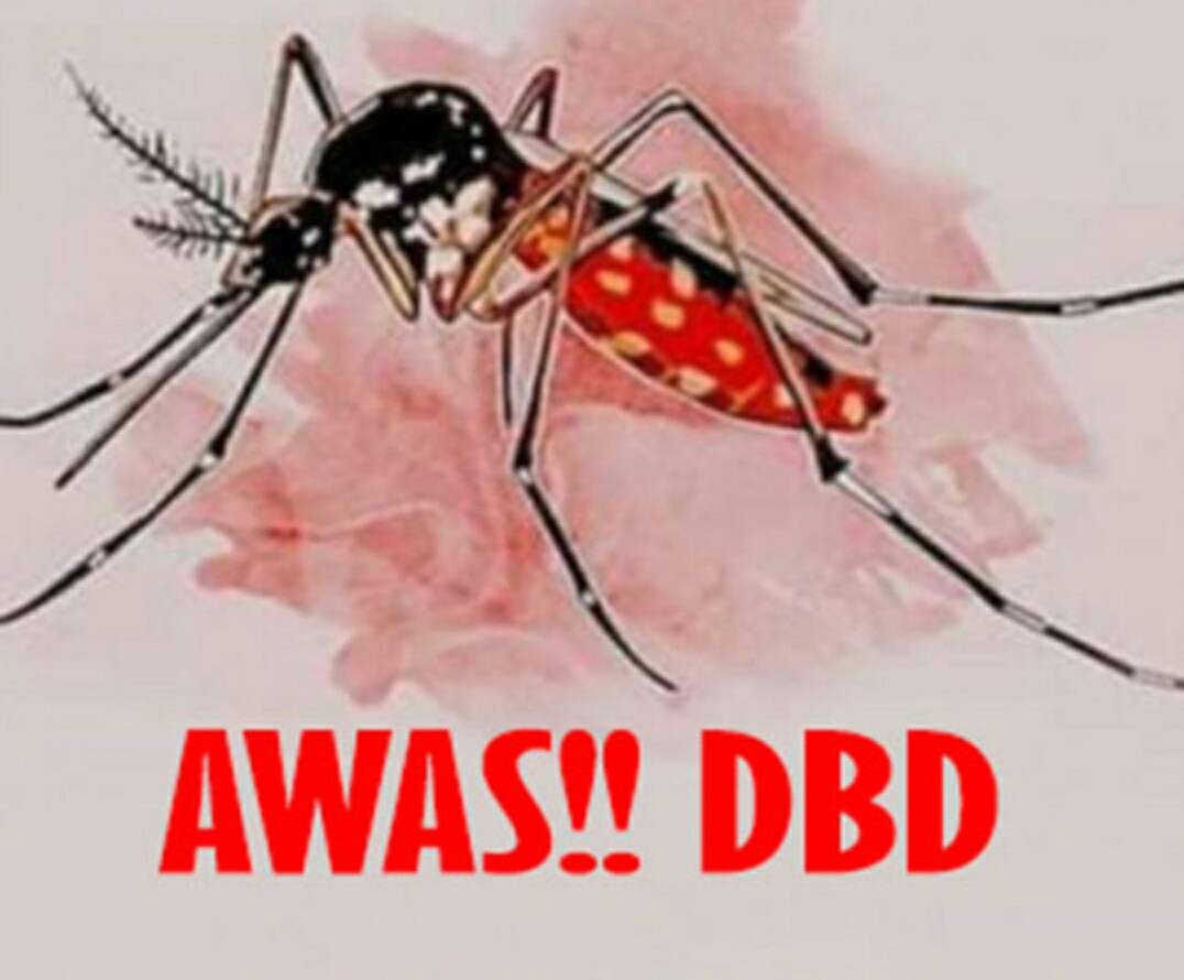 Kasus DBD Terus Mengalami Peningkatan, Pemda Sikka Keluarkan Status Kewaspadaan Dini