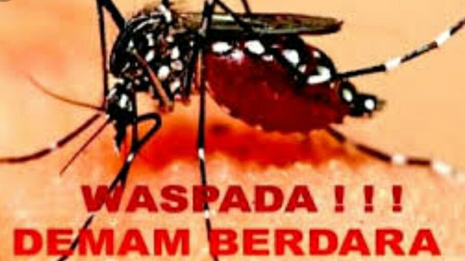 Update Terbaru Kasus DBD di Sikka, Totalnya Terus Mengalami Peningkatan
