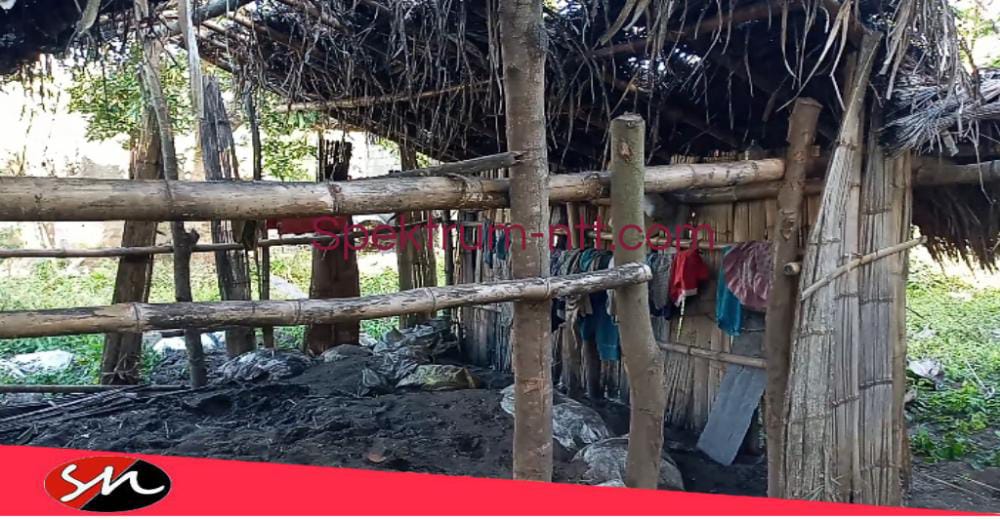 Hampir 1 Minggu Korban Banjir di Desa Tualene Belum Tersentuh Pemerintah TTU