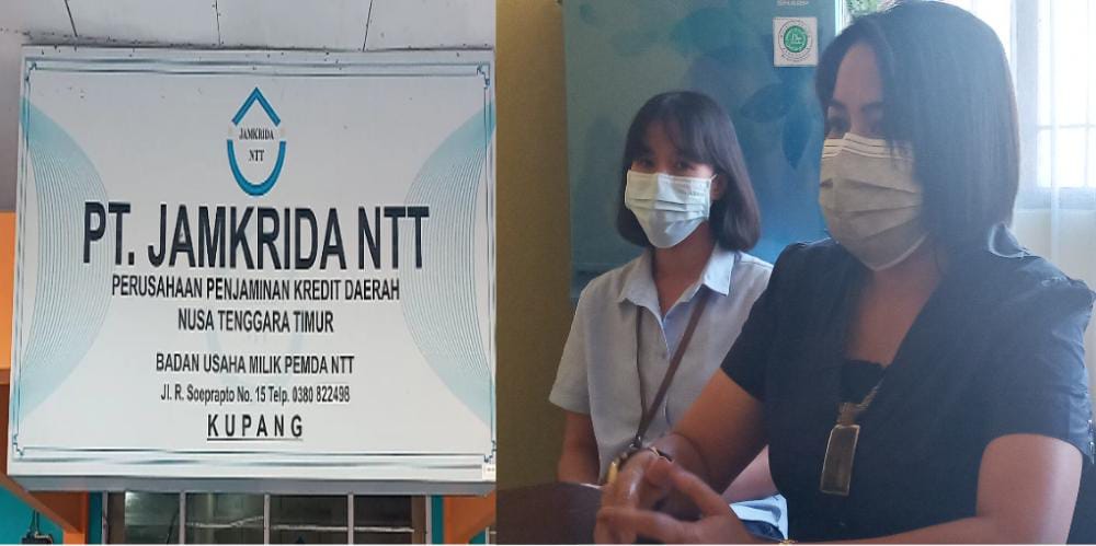 Diduga Ada Mark Up Dana Tantiem, Jaspro dan Kesra Sekitar Rp. 1,4 M di Jamkrida NTT 